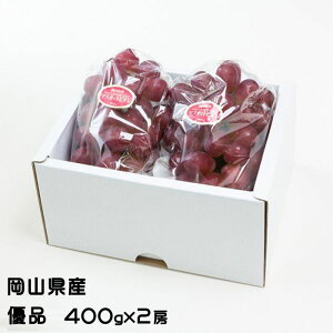 Ԃǂ }XJbgrI Di 400g×2[ RY  Ԃǂ Mtg 