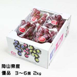 Ԃǂ }XJbgrI Di 3`6[ 2kg RY  Ԃǂ Mtg 