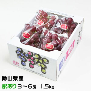 Ԃǂ }XJbgrI ̂ Ɩ󂠂 3`6[ 1.5kg RY  Ԃǂ Mtg 