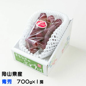 Ԃǂ }XJbgrI G 700g×1[ RY  uhE Mtg 