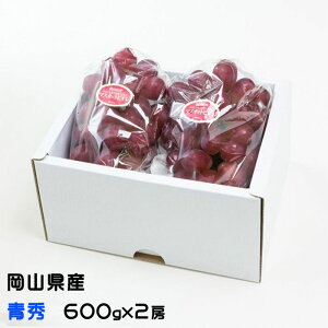 Ԃǂ }XJbgrI G 600g×2[ RY  uhE Mtg 