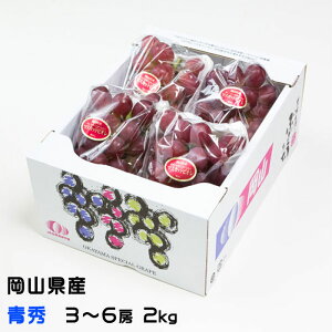 Ԃǂ }XJbgrI G 3`6[ 2kg RY  Ԃǂ Mtg 