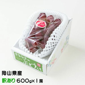 Ԃǂ }XJbgrI ̂ Ɩ󂠂 600g×1[ RY  Ԃǂ Mtg 