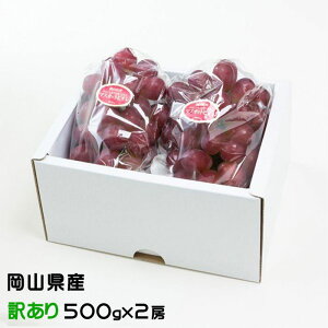 Ԃǂ }XJbgrI ̂ Ɩ󂠂 500g×2[ RY  Ԃǂ Mtg 