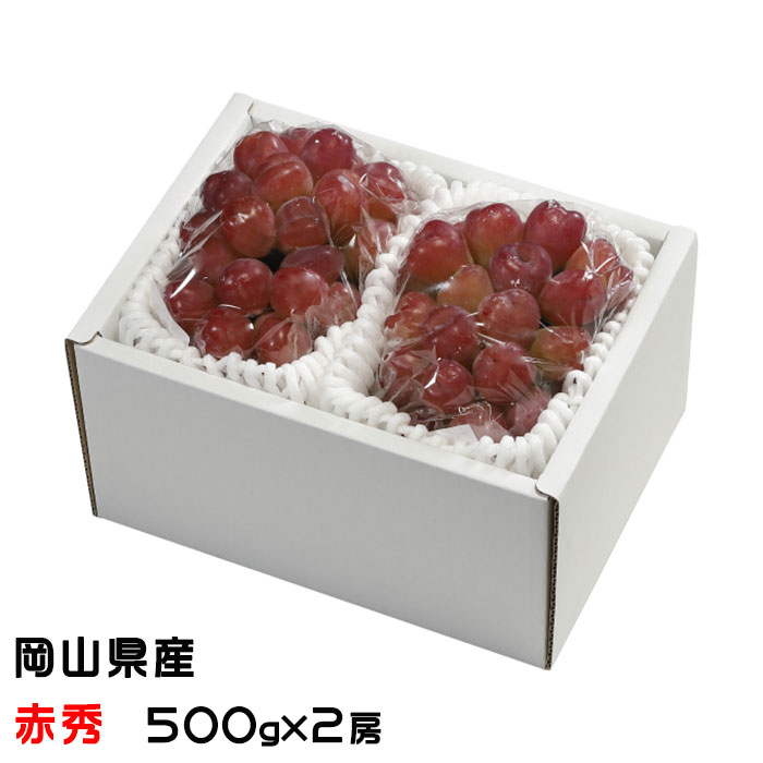 「かわいい～！」 岡山県産 500g×2房 ＪＡおかやま ブドウ マイハート 赤秀 葡萄 ぶどう ブドウ