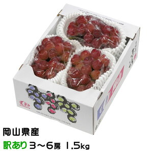 Ԃǂ }Cn[g ̂ Ɩ󂠂 3`6[ 1.5kg RY JA  uhE