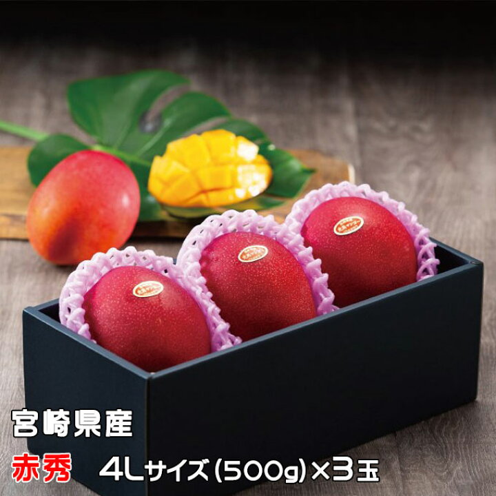 楽天市場】〇マンゴー みやざき完熟マンゴー 赤秀 4Lサイズ 500g以上×3 