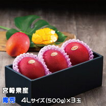 楽天市場】グリーン（マンゴー｜フルーツ・果物）：食品の通販