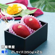 お中元 マンゴー みやざき完熟マンゴー 青秀 2Lサイズ 350g以上×2玉 宮崎県産 JA宮崎経済連 ギフト お取…