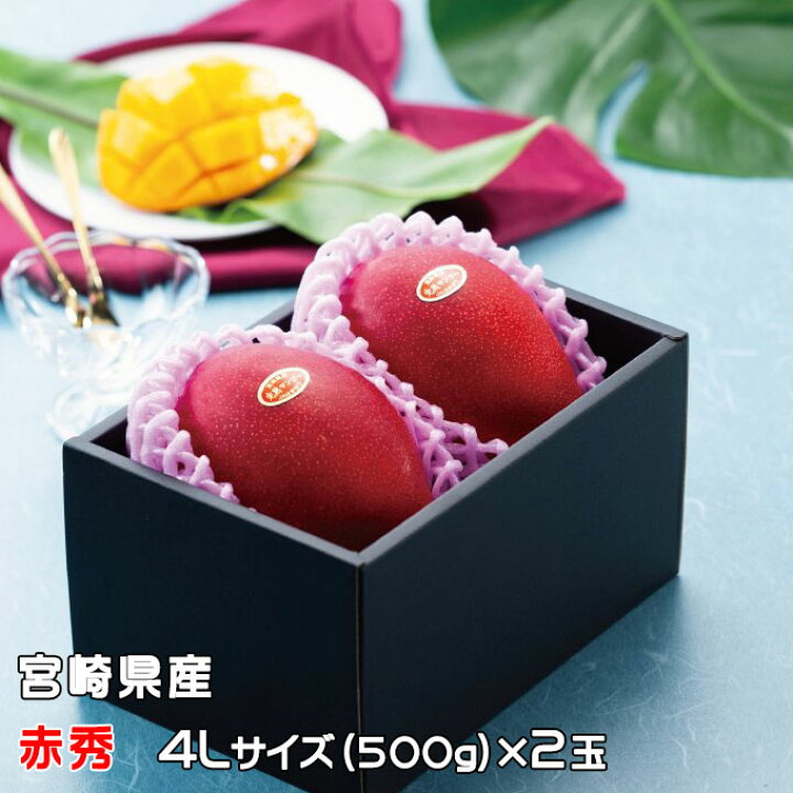 楽天市場】マンゴー みやざき完熟マンゴー 赤秀 4Lサイズ 500g以上×2玉 