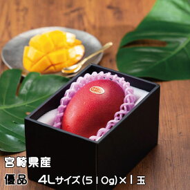 マンゴー みやざき完熟マンゴー 優品 4Lサイズ 510g以上×1玉 宮崎県産 ギフト お取り寄せグルメ 父の日