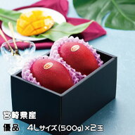 お中元 マンゴー みやざき完熟マンゴー 優品 4Lサイズ 500g以上×2玉 宮崎県産 ギフト お取り寄せグルメ