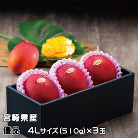 マンゴー みやざき完熟マンゴー 優品 4Lサイズ 510g以上×3玉 宮崎県産 ギフト お取り寄せグルメ 父の日
