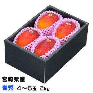 �}���S�[ �݂₴�����n�}���S�[ �G 4L�`2L�T�C�Y 2kg 4�`6�� �{�茧�Y JA�{��o�ϘA �M�t�g �����񂹃O����