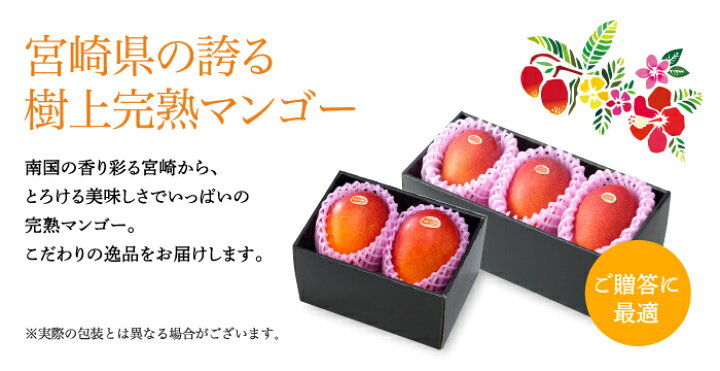 楽天市場】マンゴー みやざき完熟マンゴー 優品 4Lサイズ 500g以上×3玉 