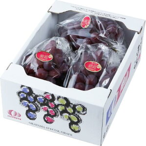 ぶどう 紫苑 しえん 青秀 3〜6房 1.5kg 岡山県産 JAおかやま 葡萄 ブドウ