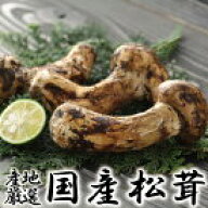 松茸 天然 まつたけ 国産 松茸 日本産 産地厳選 秀品 つぼみ〜ひらき 大きさおまかせ 100g まつたけ