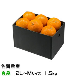 �݂��� �ɂ��イ�܂� �Ǖi 2L�`M�T�C�Y 1.5kg JA�O���[�v���� �M�t�g