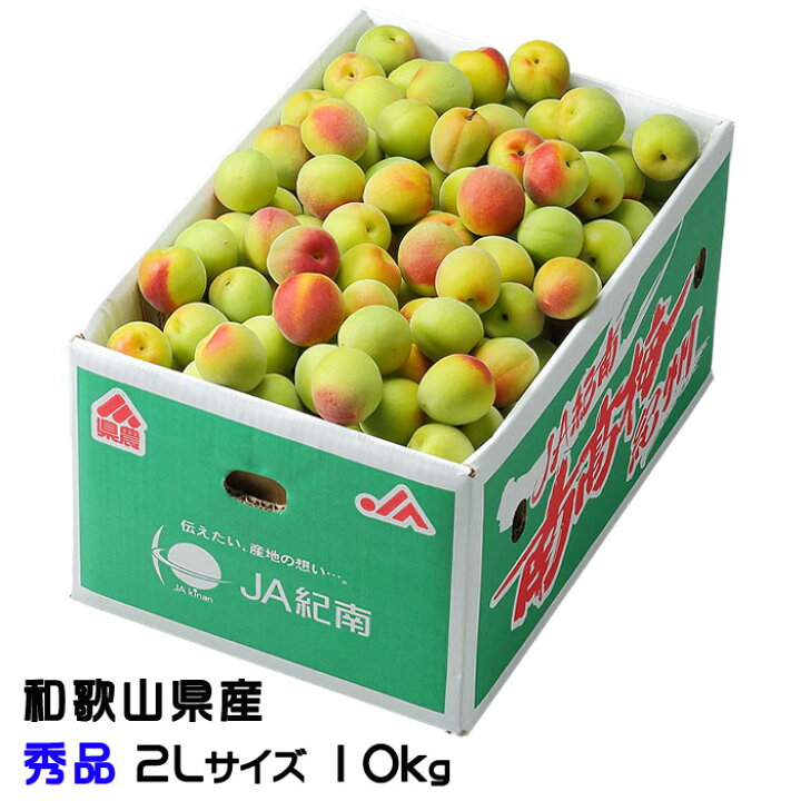 楽天市場】梅 紀州 南高梅 和歌山県産 秀品 2Lサイズ 10kg うめ 生梅 