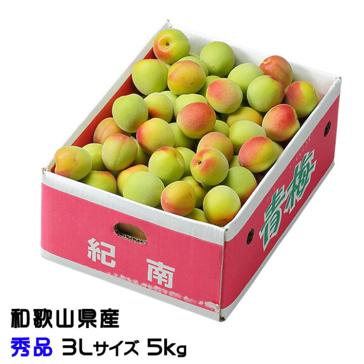 楽天市場】梅 紀州 南高梅 和歌山県産 秀品 3Lサイズ 5kg うめ 生梅 