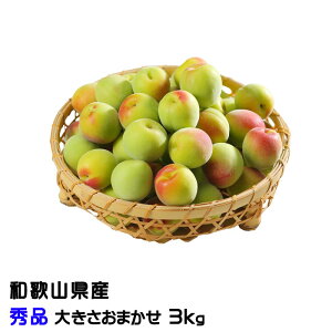 �~ �I�B �썂�~ �a�̎R���Y �G�i �傫�����܂��� 3kg ���� ���~