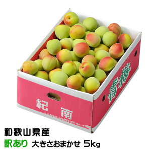 �~ �I�B �썂�~ �a�̎R���Y ���̂������� �傫�����܂��� 5kg ���� ���~