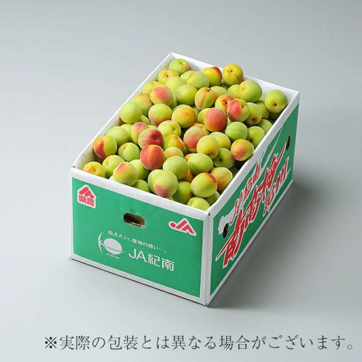 楽天市場】梅 紀州 南高梅 和歌山県産 秀品 4Lサイズ 10kg うめ 生梅 
