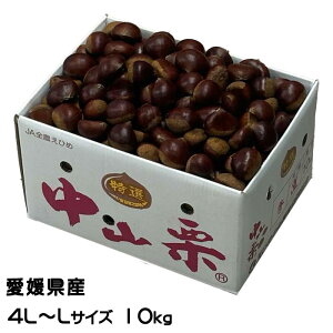 I RI I 4L`LTCY 10kg QY JAЂߒ  N