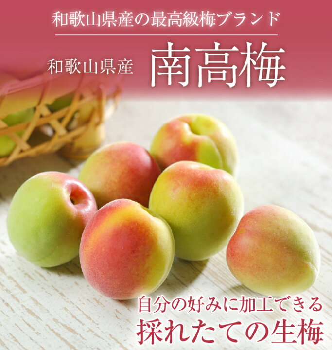 楽天市場】梅 紀州 南高梅 和歌山県産 秀品 4Lサイズ 5kg うめ 生梅 