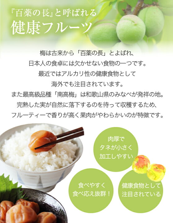 楽天市場】梅 紀州 南高梅 和歌山県産 秀品 4Lサイズ 5kg うめ 生梅 