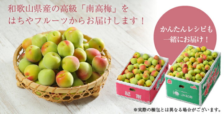 楽天市場】梅 紀州 南高梅 和歌山県産 秀品 4Lサイズ 5kg うめ 生梅 