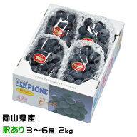 ぶどう ニューピオーネ 風のいたずら ちょっと訳あり 3〜6房 2kg 岡山県産 JAおかやま 葡萄 ブドウ