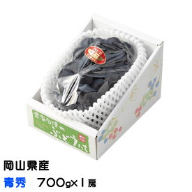 ぶどう ニューピオーネ 青秀 700g×1房 岡山県産 JAおかやま 葡萄 ブドウ