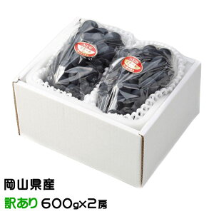 Ԃǂ j[sI[l ̂ Ɩ󂠂 600g×2[ RY JA  uhE