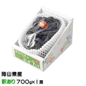 ぶどう ニューピオーネ 風のいたずら ちょっと訳あり 700g×1房 岡山県産 JAおかやま 葡萄 ブドウ