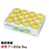 梨 20世紀梨 赤秀 7〜20玉 5kg 鳥取県産 なし ナシ