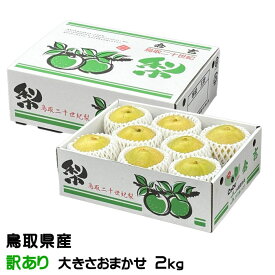梨 20世紀梨 ちょっと訳あり 大きさおまかせ 2kg 鳥取県産 なし ナシ ギフト お取り寄せ