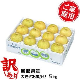 梨 20世紀梨 ちょっと訳あり 大きさおまかせ 5kg 鳥取県産 なし ナシ