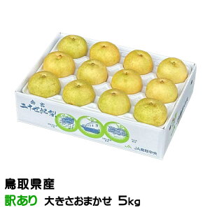  20I Ɩ󂠂 傫܂ 5kg 挧Y Ȃ iV