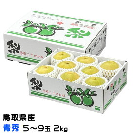 梨 20世紀梨 青秀 5〜9玉 2kg 鳥取県産 なし ナシ ギフト お取り寄せ