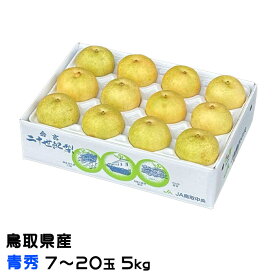 梨 20世紀梨 青秀 7〜20 5kg 鳥取県産 なし ナシ