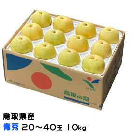 梨 20世紀梨 青秀 20〜40玉 10kg 鳥取県産 なし ナシ