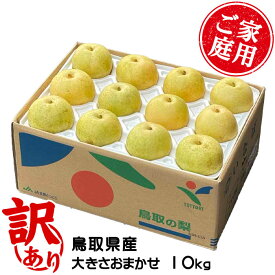 梨 20世紀梨 ちょっと訳あり 大きさおまかせ 10kg 鳥取県産 なし ナシ