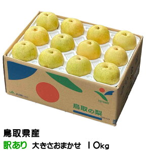  20I Ɩ󂠂 傫܂ 10kg 挧Y Ȃ iV