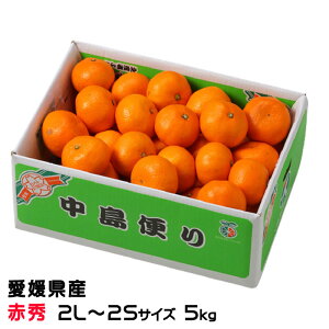 Ε ݂ ւ݂ ԏG 2L`2STCY 5kg x12xȏ Q Y JAЂߒ Iʏ  ~J Mtg