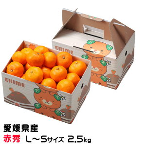 Ε ݂ ւ݂ ԏG L`STCY 2.5kg ݂񔠓 x12xȏ Q Y JAЂߒ Iʏ  ~J