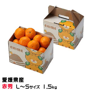 Ε ݂ ւ݂ ԏG L`STCY 1.5kg ݂񔠓 x12xȏ Q Y JAЂߒ Iʏ  ~J