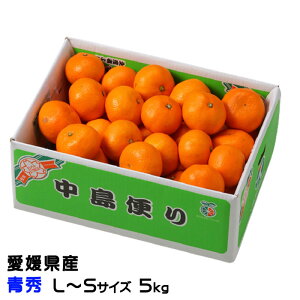 Ε ݂ ւ݂ G L`STCY 5kg x12xȏ Q Y JAЂߒ Iʏ  ~J Mtg