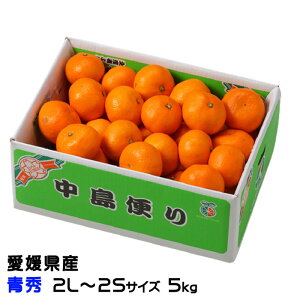 Ε ݂ ւ݂ G 2L`2STCY 5kg x12xȏ Q Y JAЂߒ Iʏ  ~J Mtg