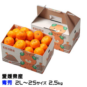 Ε ݂ ւ݂ G 2L`2STCY 2.5kg ݂񔠓 x12xȏ Q Y JAЂߒ Iʏ  ~J